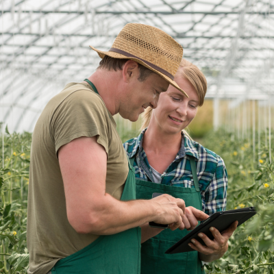 Couple looking at ipad in greenhouse
